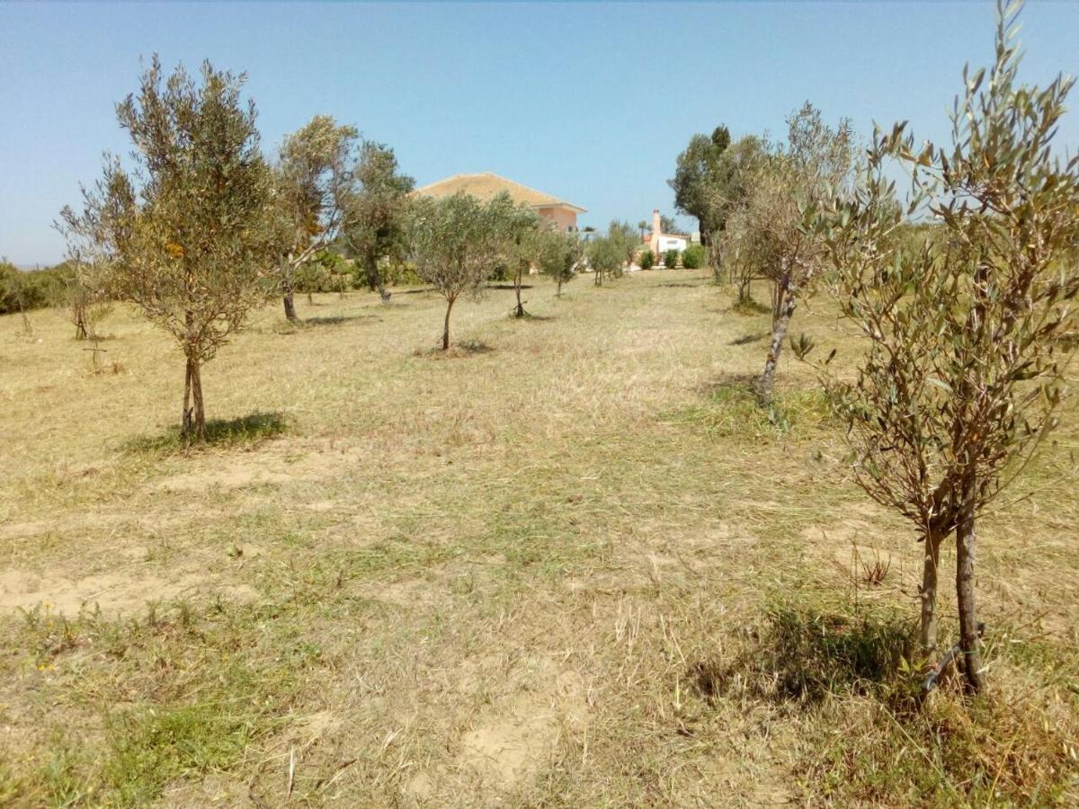 Villa Fior D'Oleandro Santa Maria Del Focallo Buitenkant foto